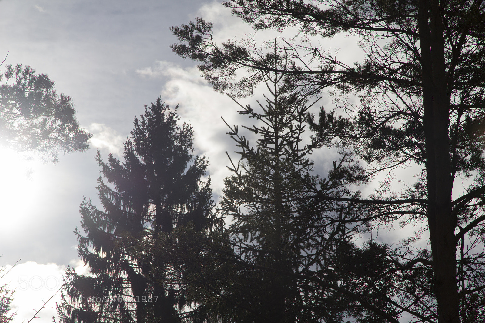 Canon EOS 600D (Rebel EOS T3i / EOS Kiss X5) sample photo. Cloudy photography