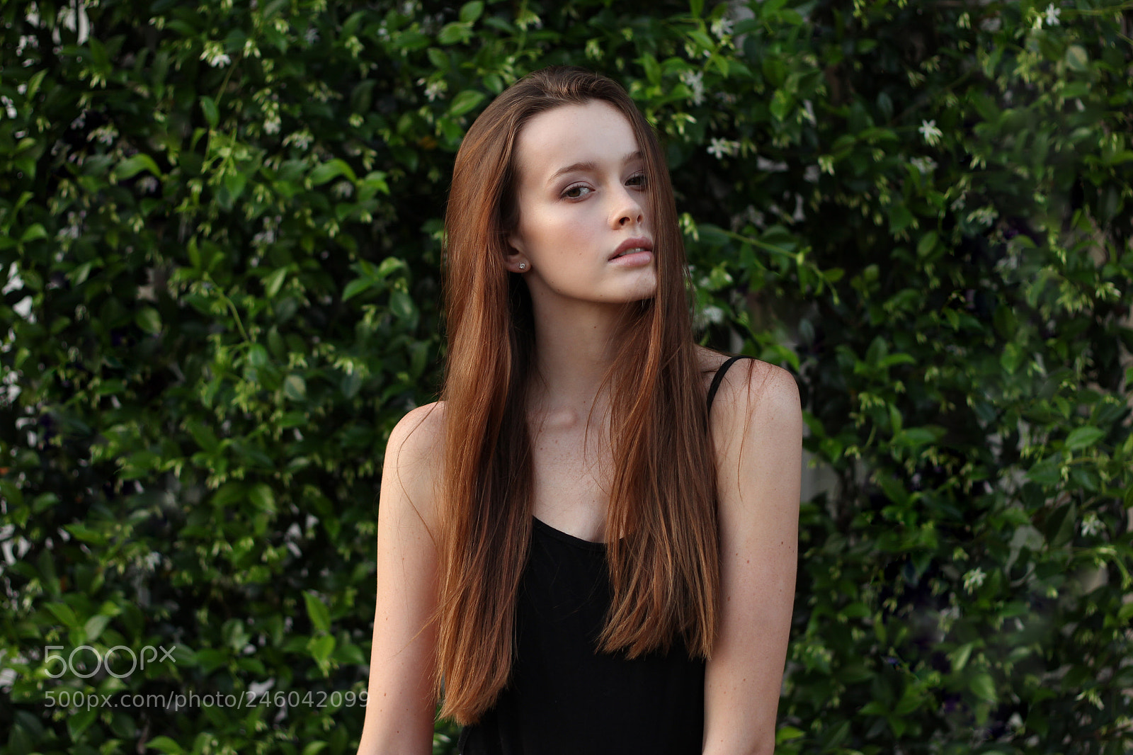 Canon EOS 60D sample photo. Heh. photography