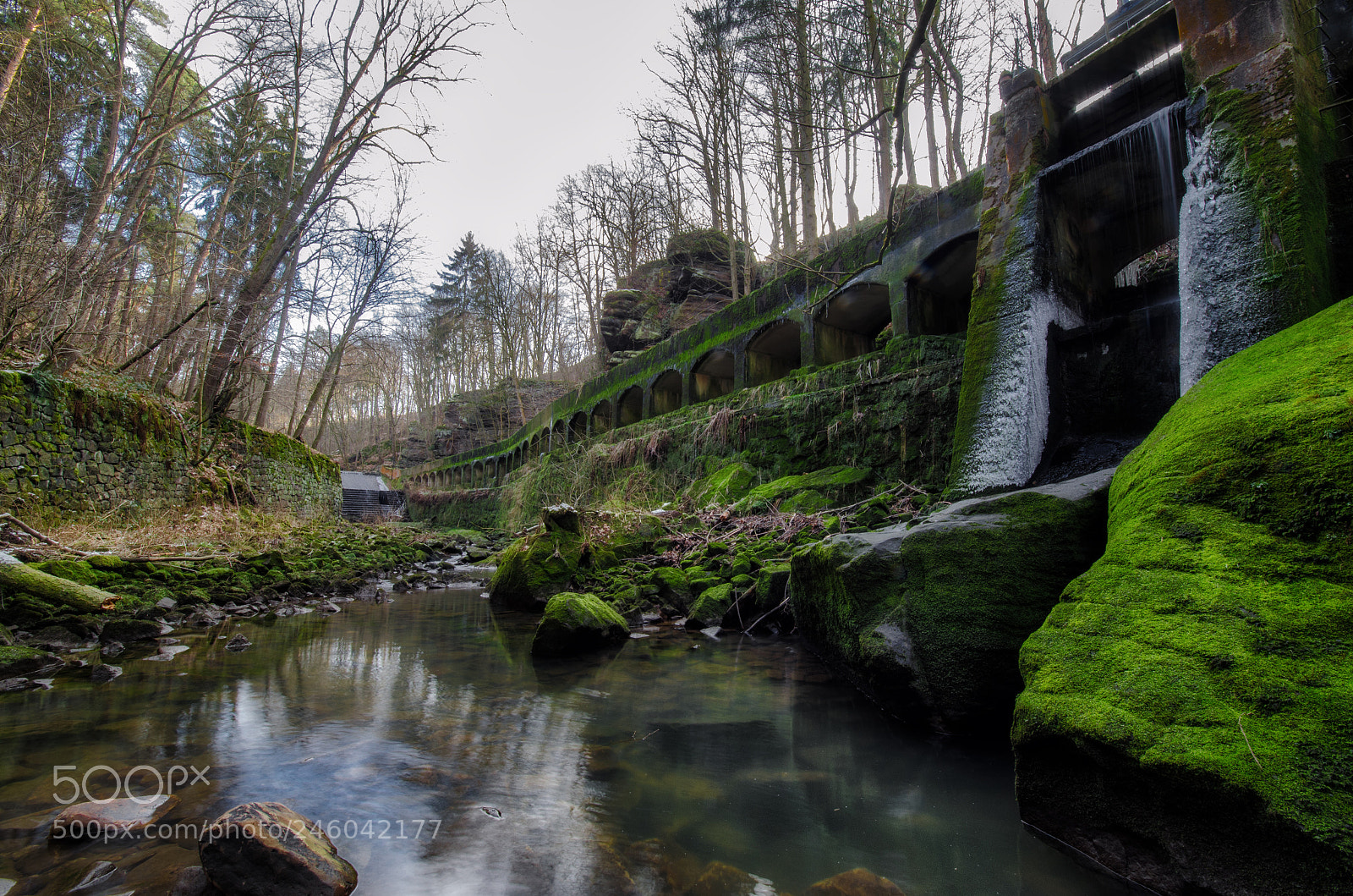 Nikon D5100 sample photo. Niezelgrund i photography
