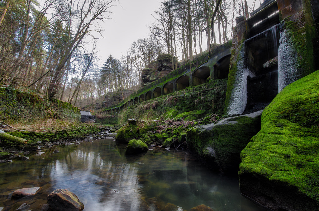 niezelgrund I von dirk derbaum auf 500px.com