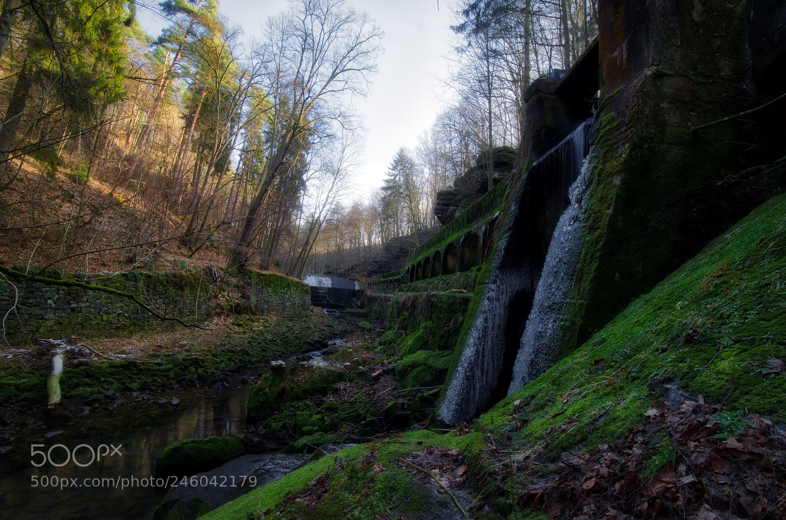Nikon D5100 sample photo. Niezelgrund ii photography
