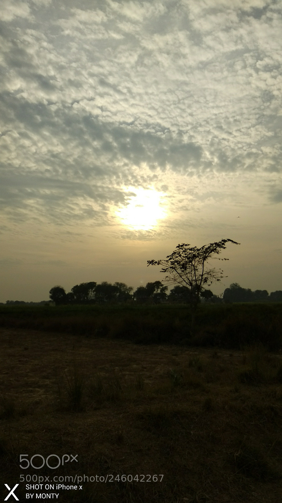 Xiaomi Mi A1 sample photo. Untitled photography