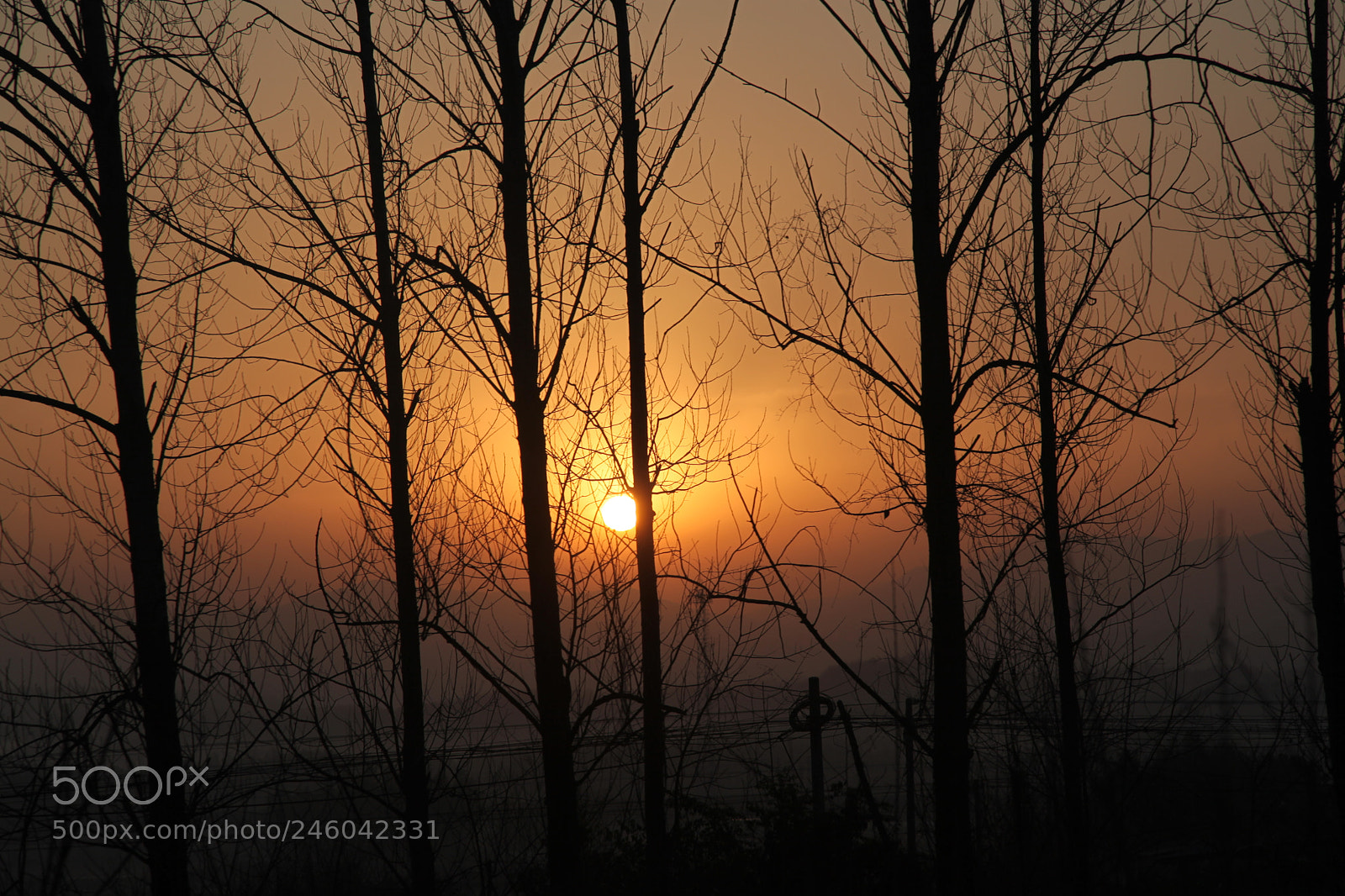 Canon EF 24-105mm F4L IS USM sample photo. Untitled photography