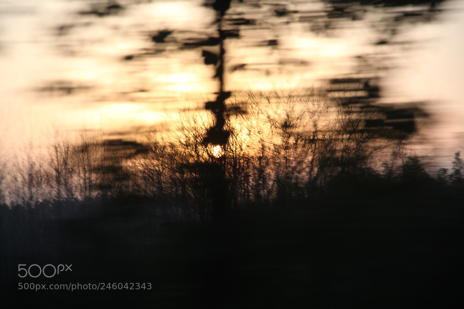 Canon EF 24-105mm F4L IS USM sample photo. Untitled photography