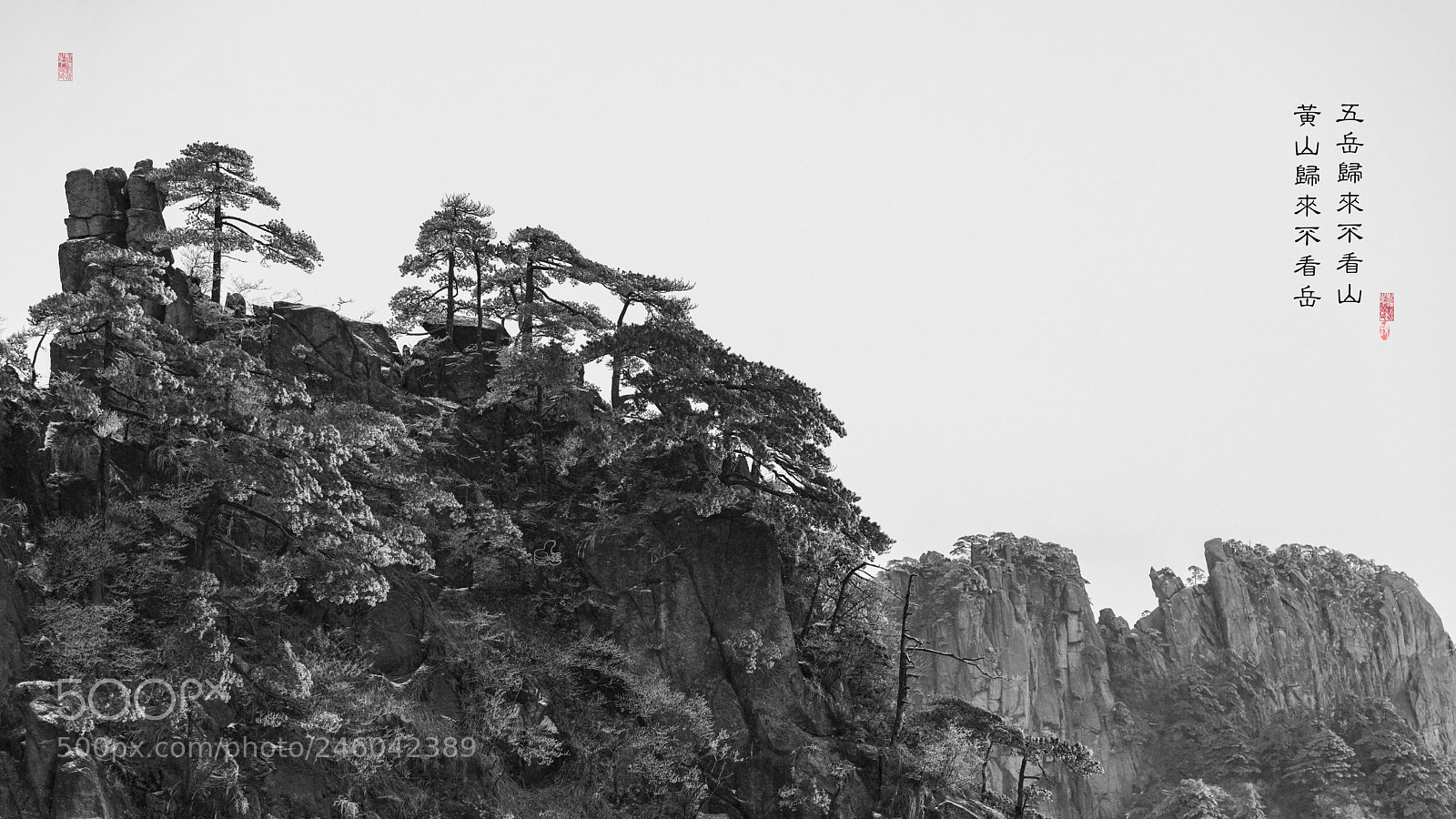 Nikon D810 sample photo. Untitled photography