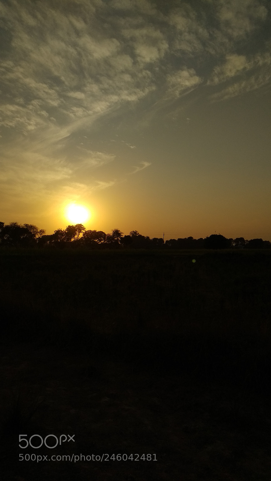 Xiaomi Mi A1 sample photo. Untitled photography