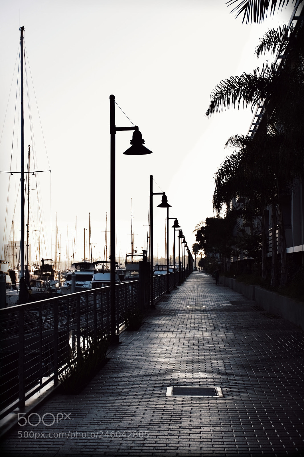 Nikon D5600 sample photo. Marina walk way photography
