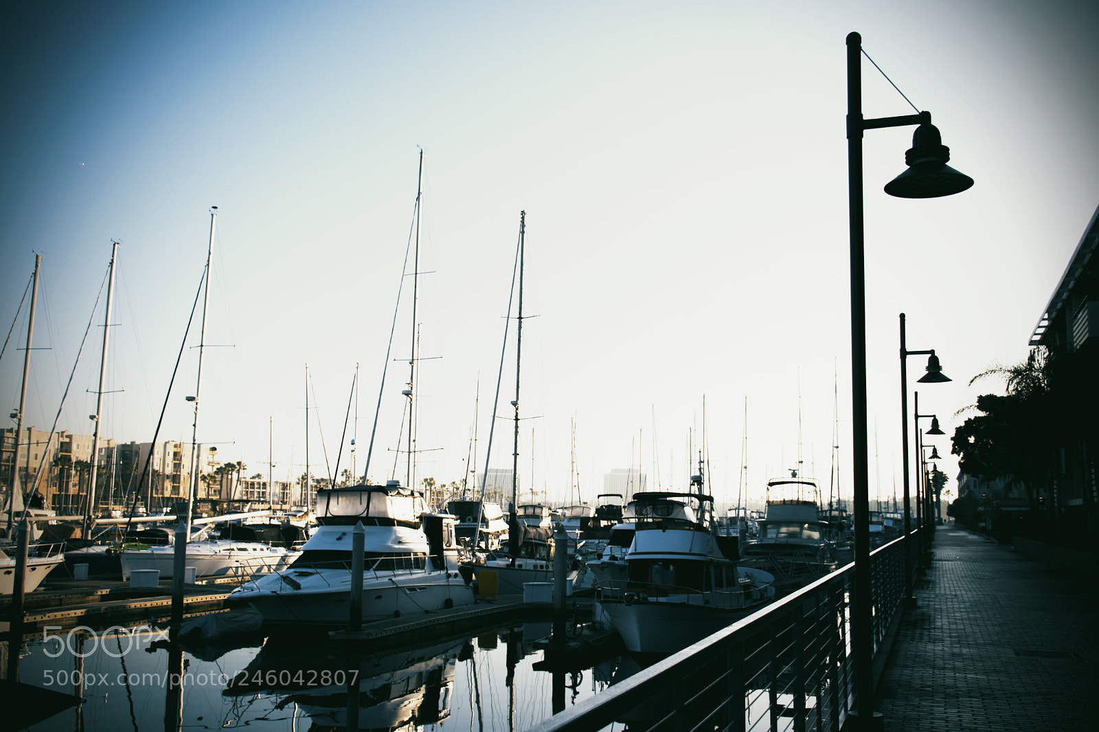 Nikon D5600 sample photo. Dusk at the marina photography