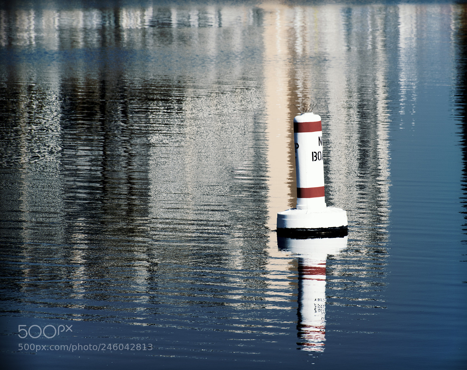 Nikon D5600 sample photo. Floating photography