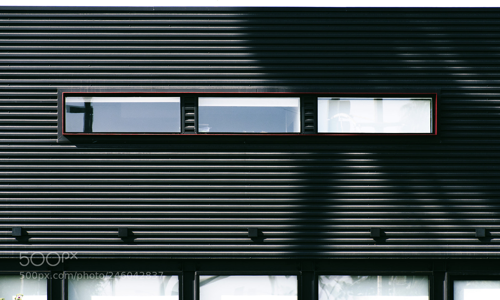 Nikon D5600 sample photo. Office photography