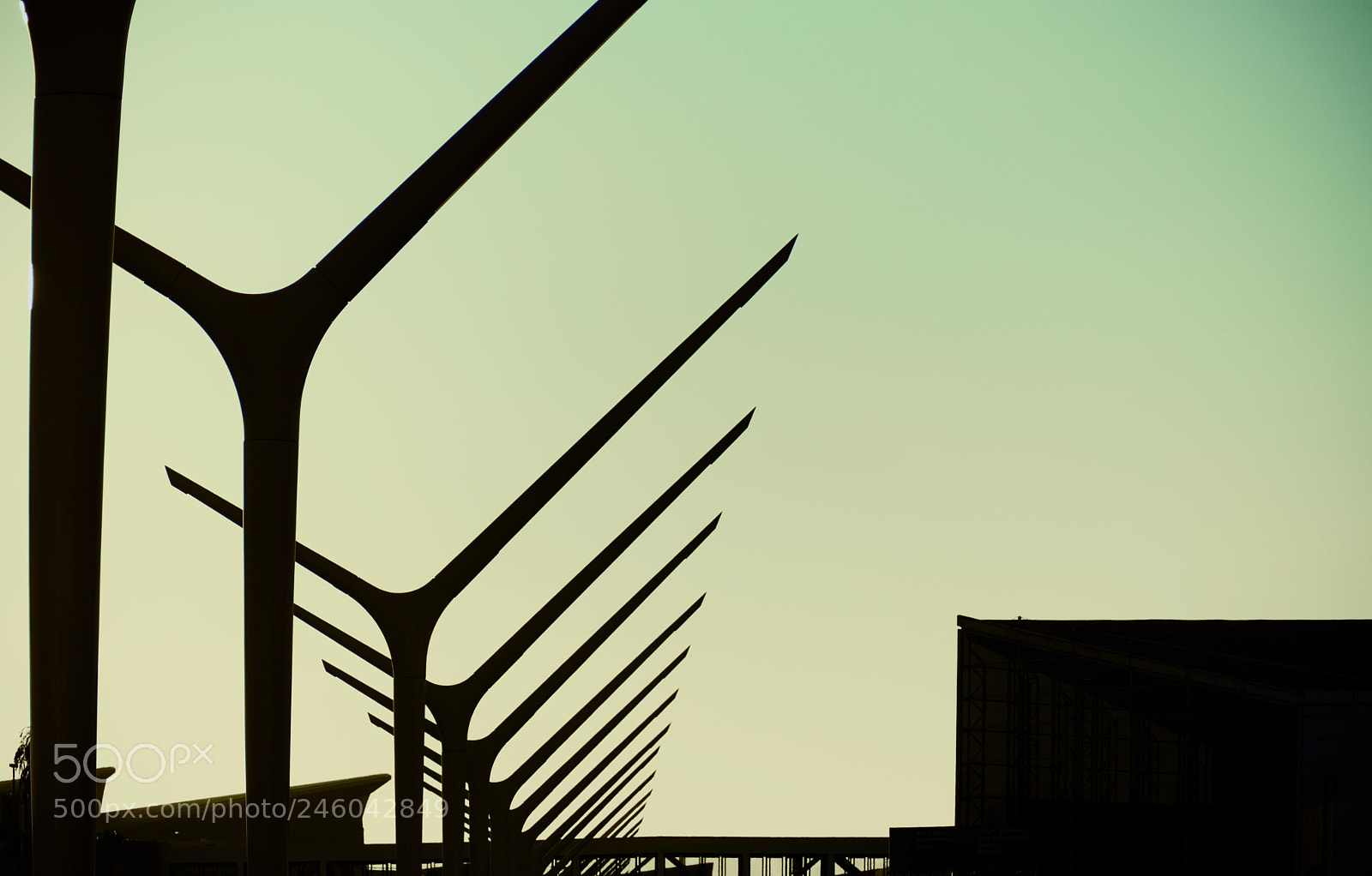 Nikon D5600 sample photo. Lax green dusk photography