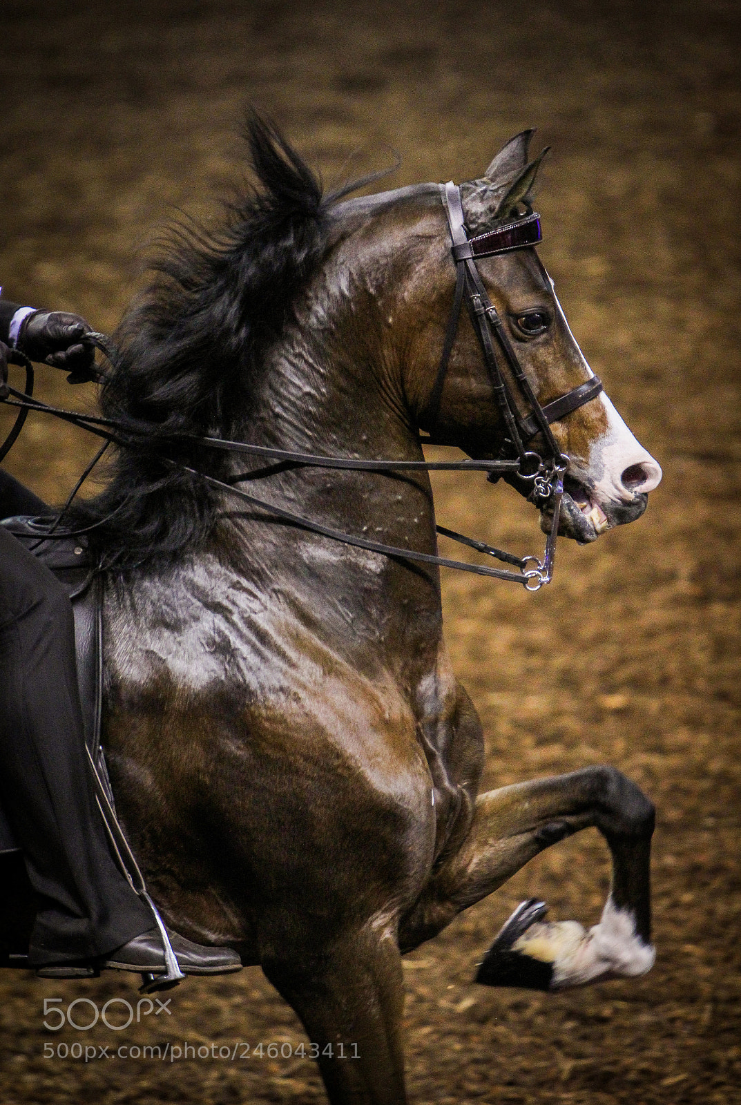 Canon EOS 60D sample photo. Slb valedictorian photography