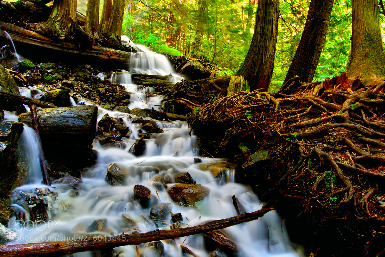 Nikon D60 sample photo. Bridal veil falls photography