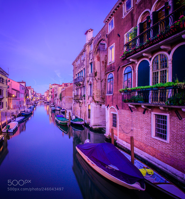 Nikon D810 sample photo. Quiet venice canal at photography
