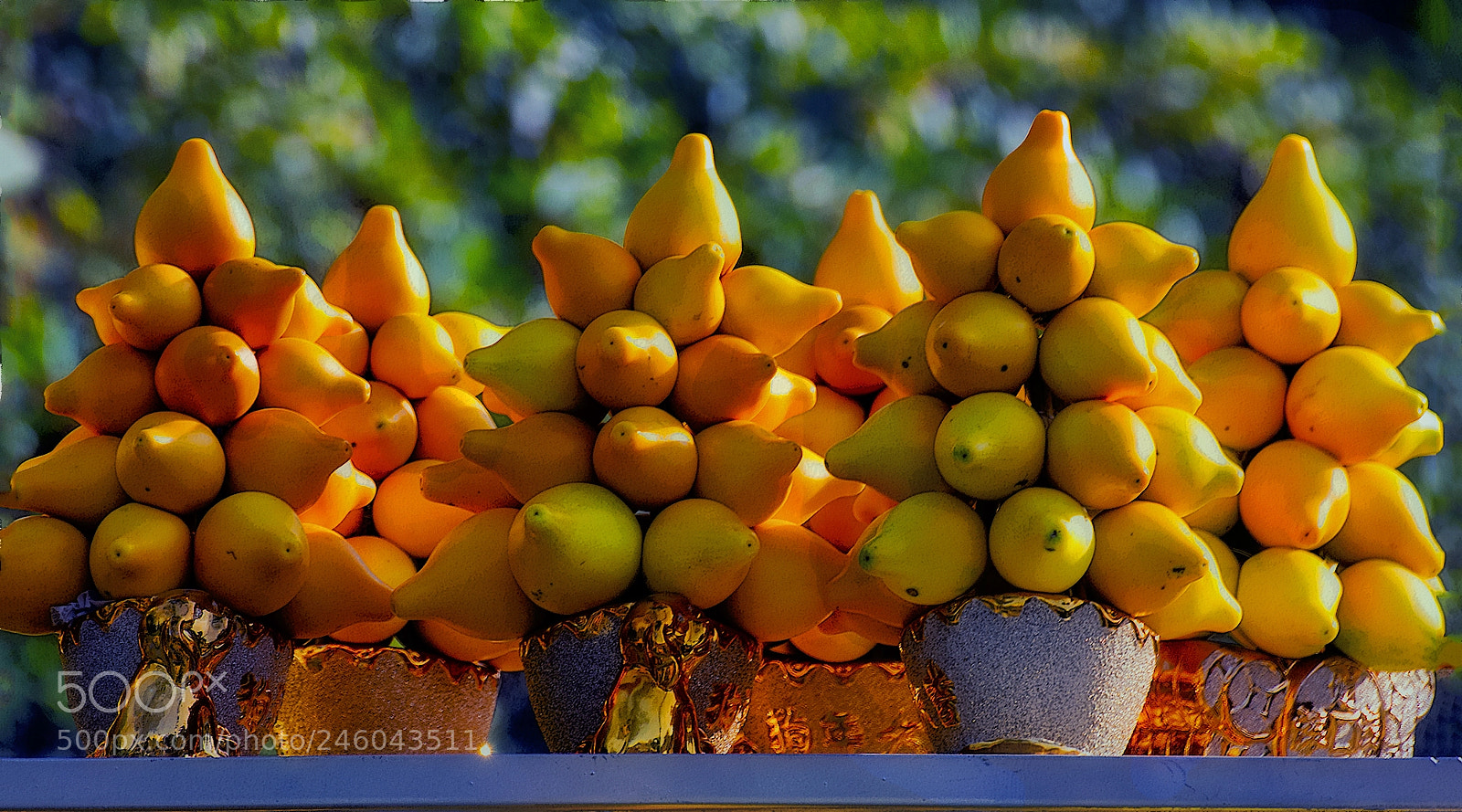 Canon EOS 60D sample photo. Golden fruit (五代同堂) photography