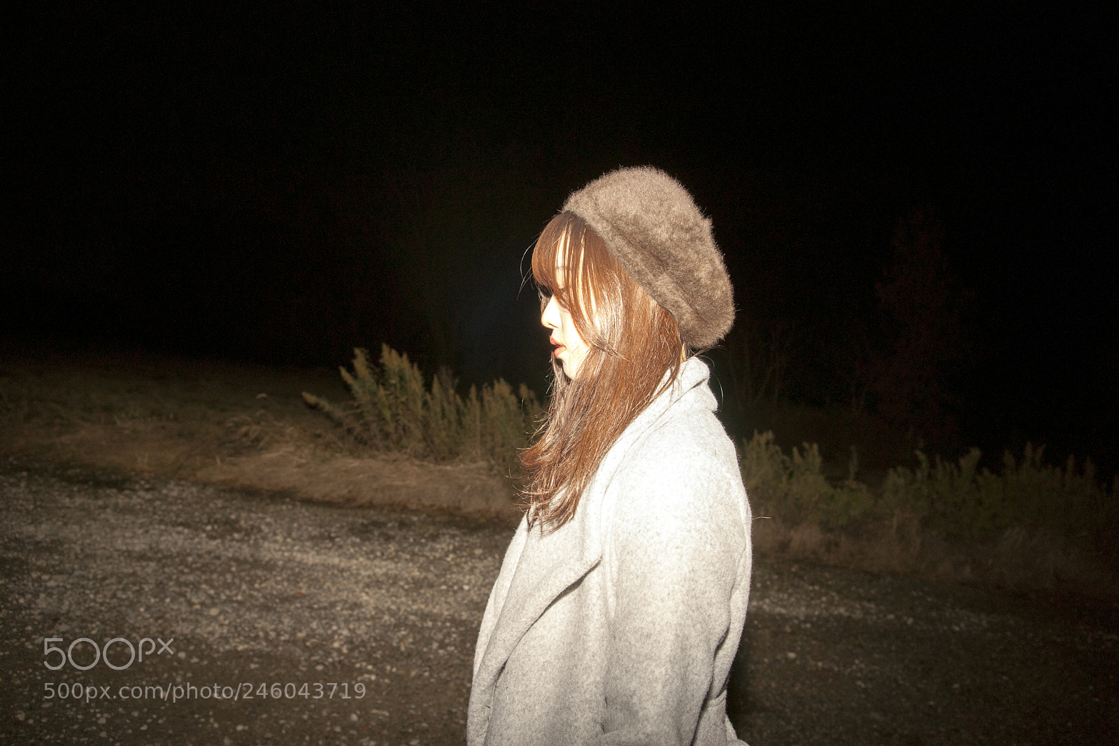 Sony Alpha DSLR-A900 sample photo. Untitled photography