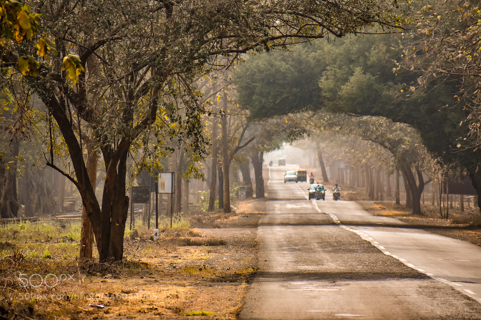 Nikon D3400 sample photo. Safari.!!! photography