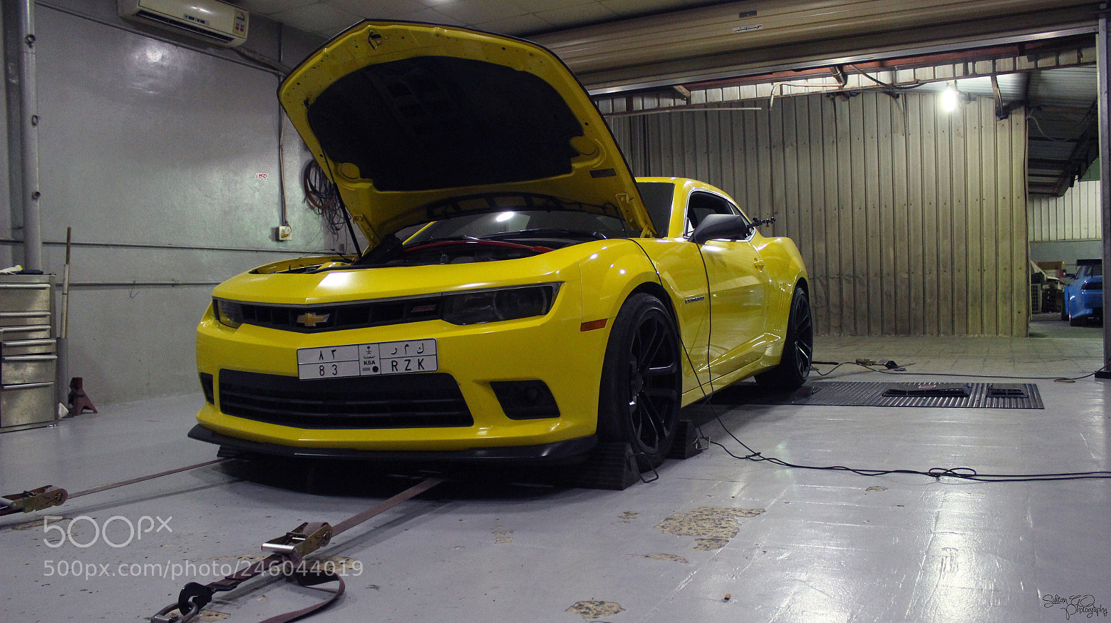 Canon EOS 650D (EOS Rebel T4i / EOS Kiss X6i) sample photo. Yellow beast photography