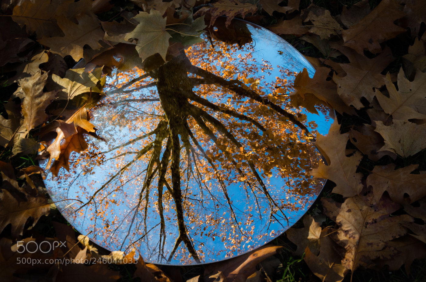 Nikon D7100 sample photo. Change of seasons photography