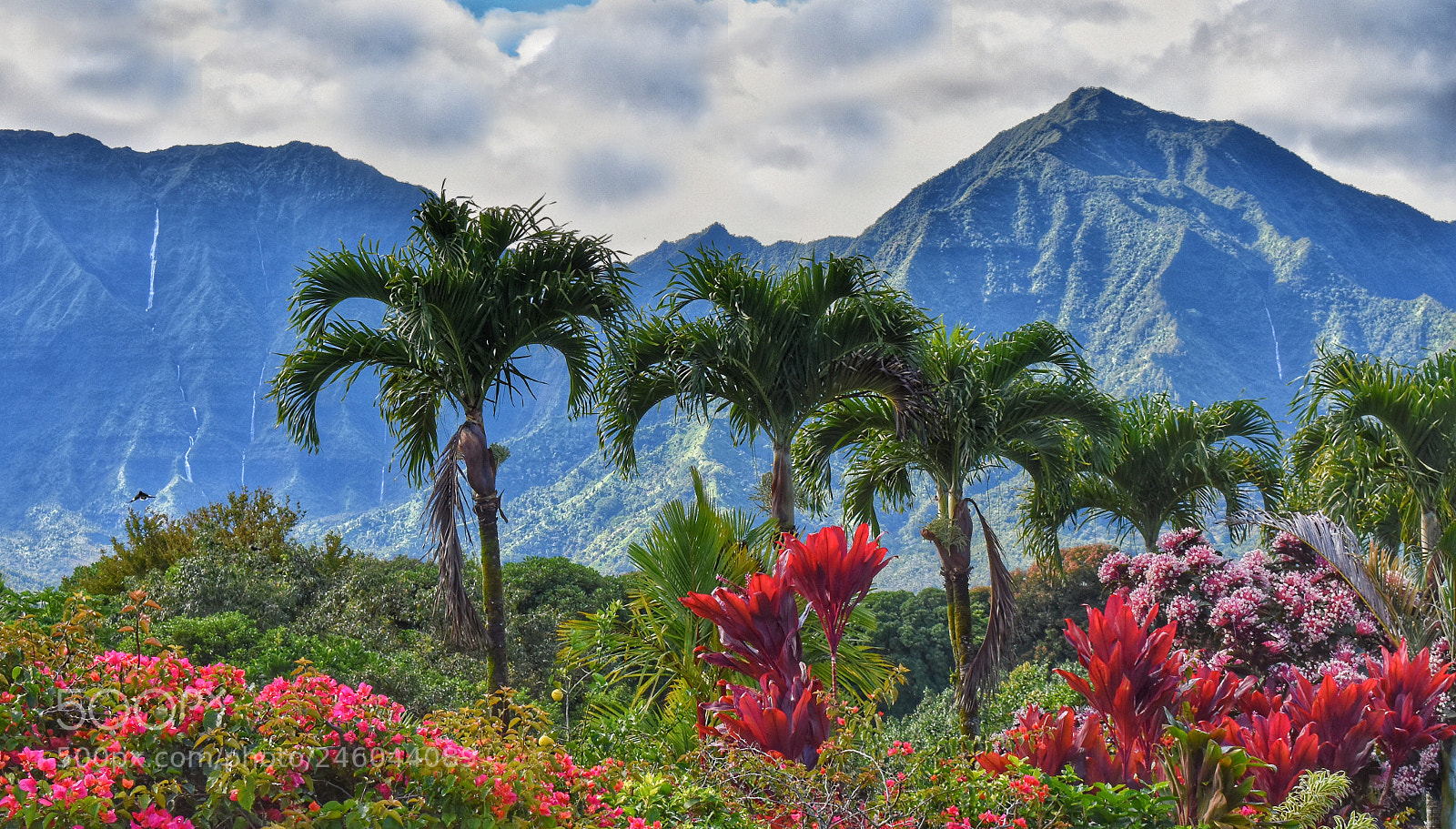 Nikon D3400 sample photo. Colors of kauai photography