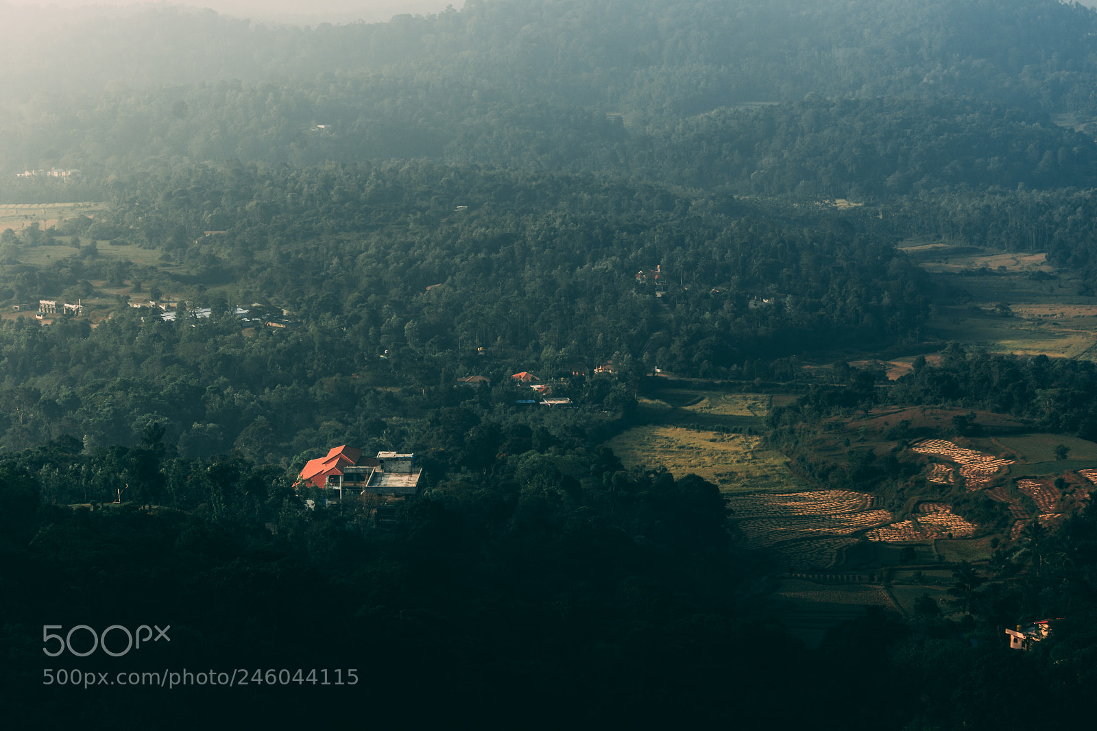 Nikon D7100 sample photo. View photography