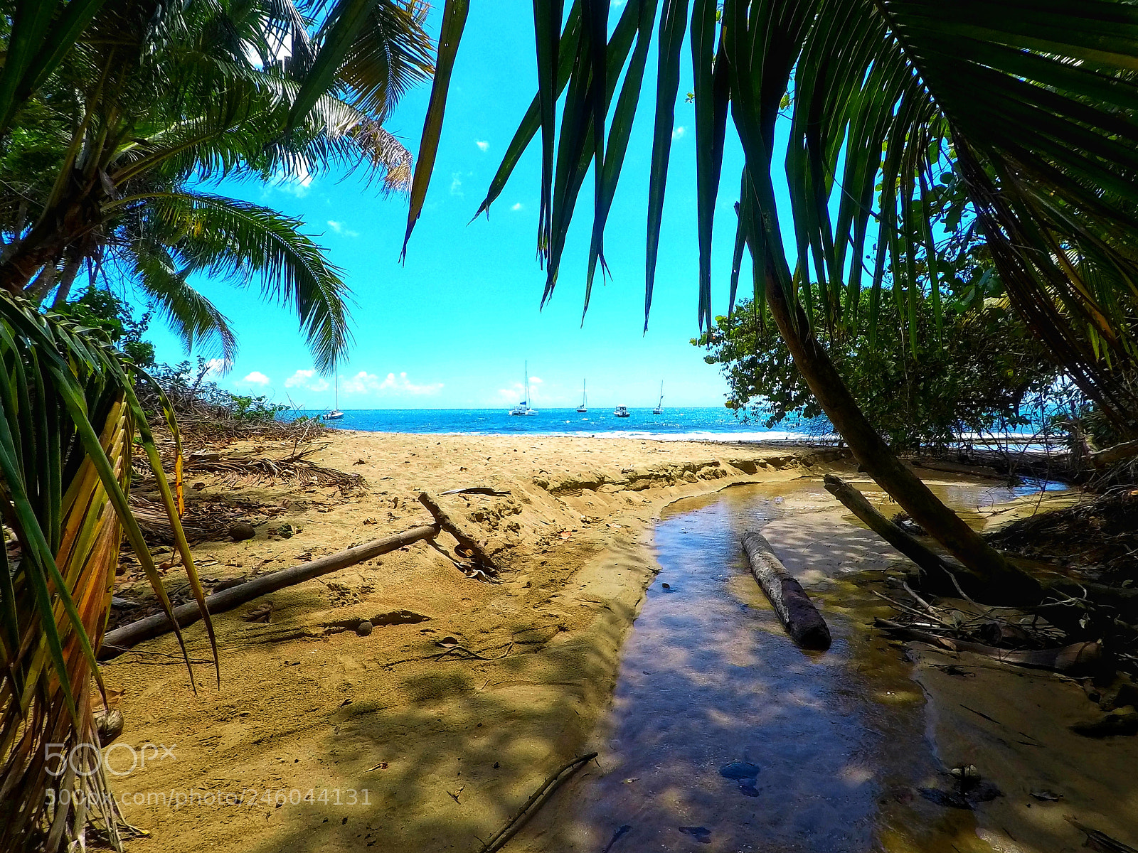 GoPro Hero5 Black sample photo. Out of the jungle photography