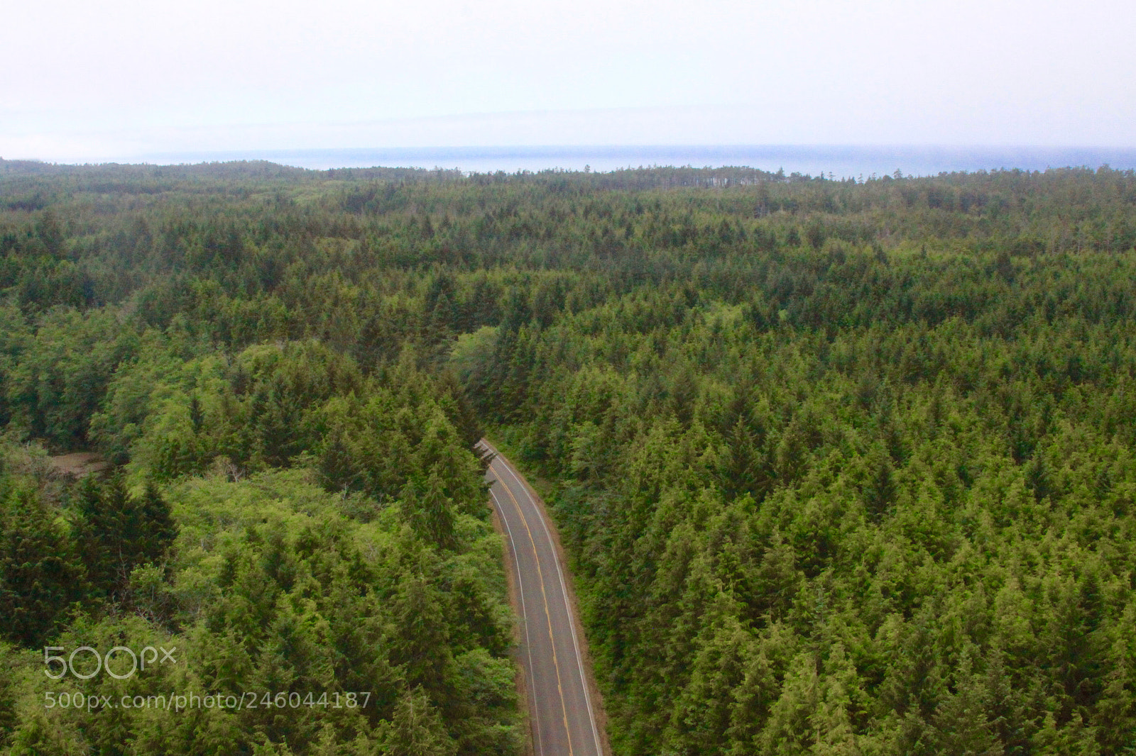 Canon EOS 50D sample photo. The long road back photography