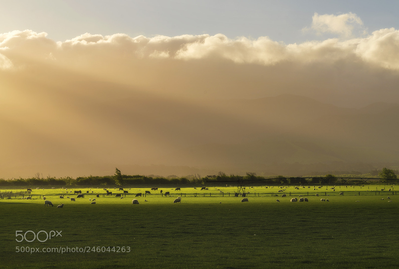 Sony a7R II sample photo. Light on the prairie photography