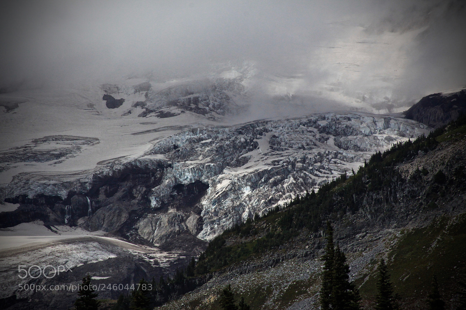 Canon EOS 50D sample photo. Rainier photography