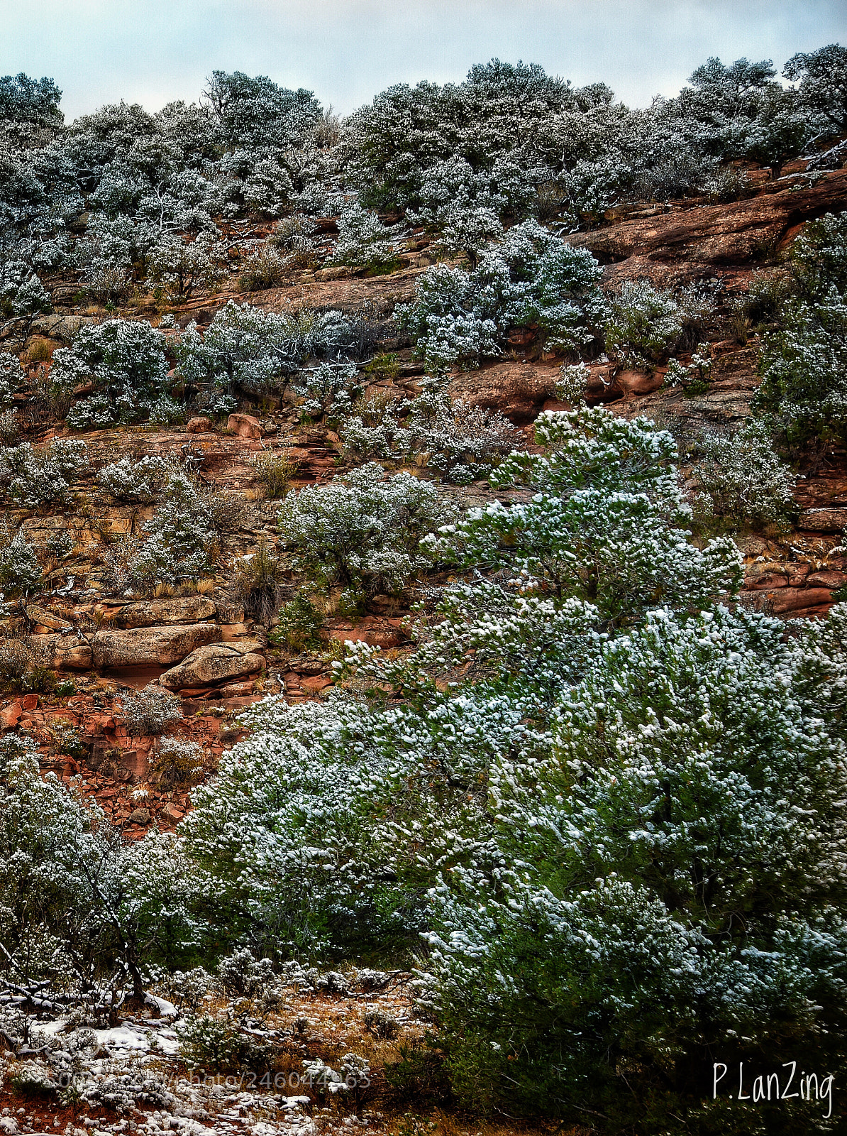 Nikon D810 sample photo. Snow frosting, canyon country photography