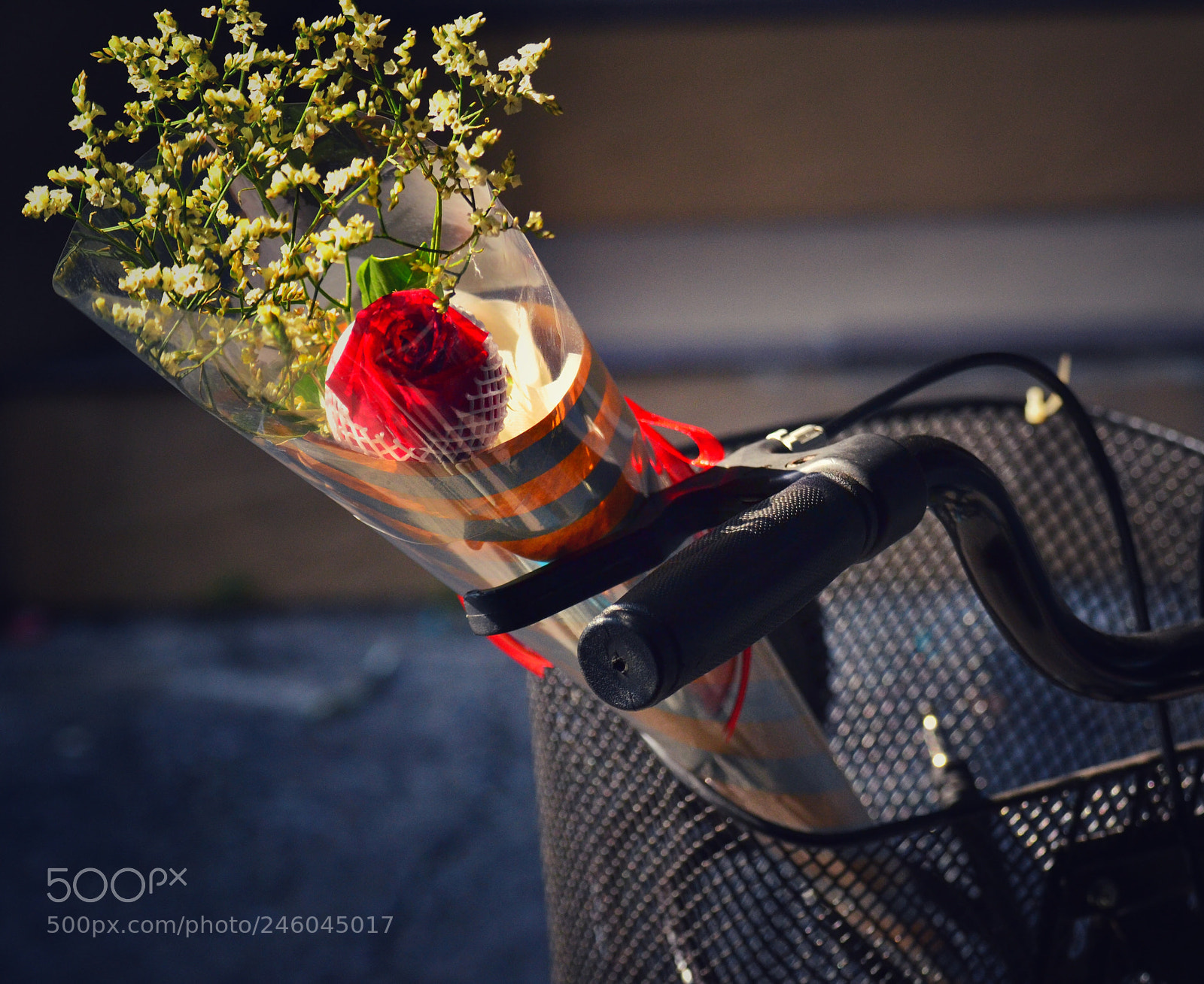 Nikon D3100 sample photo. Valentines photography