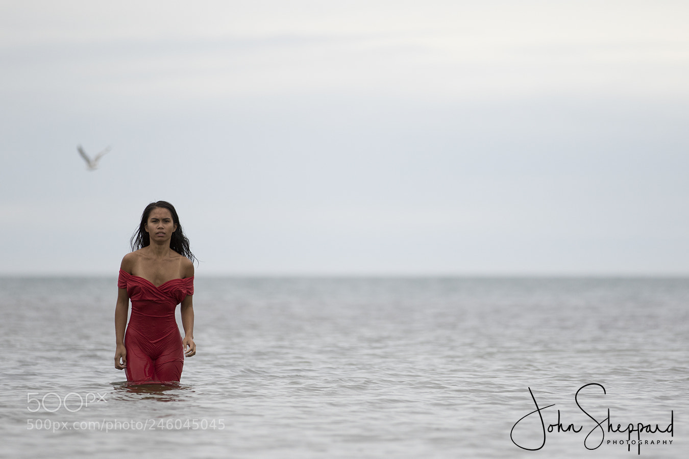Canon EOS 7D Mark II sample photo. Never alone photography