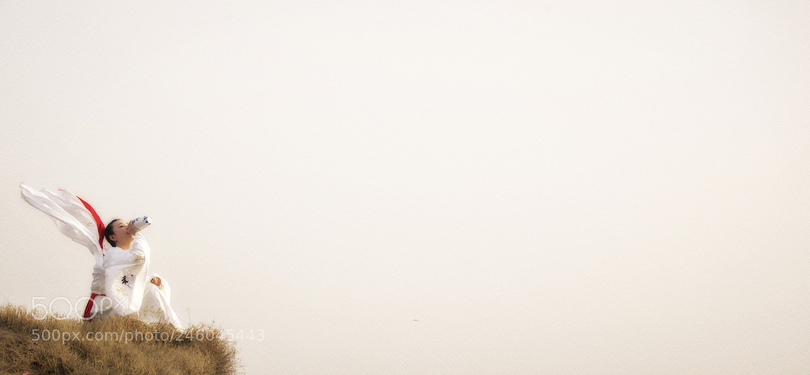 Canon EOS 750D (EOS Rebel T6i / EOS Kiss X8i) sample photo. 楚辞·山鬼 photography