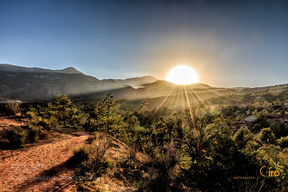 Canon EOS 7D Mark II sample photo. Sunset at garden of photography