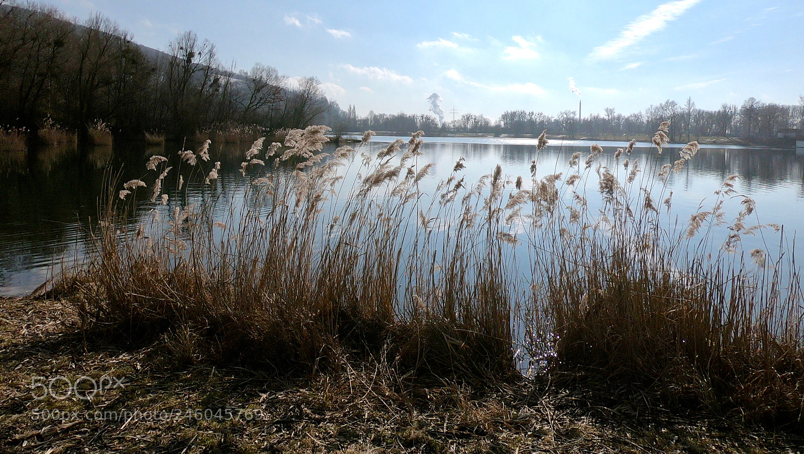 GoPro Hero6 Black sample photo. Grass photography