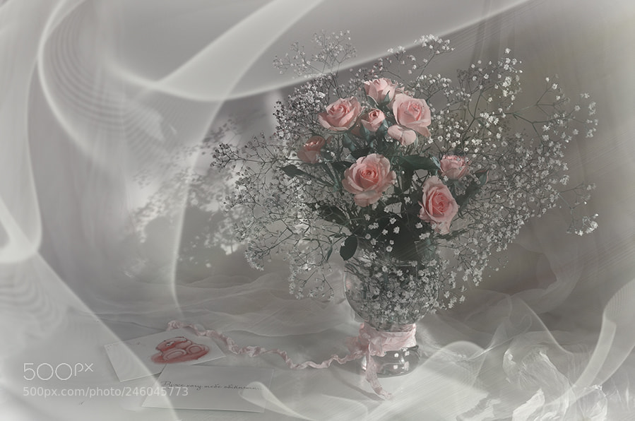Nikon D5100 sample photo. So i want to photography