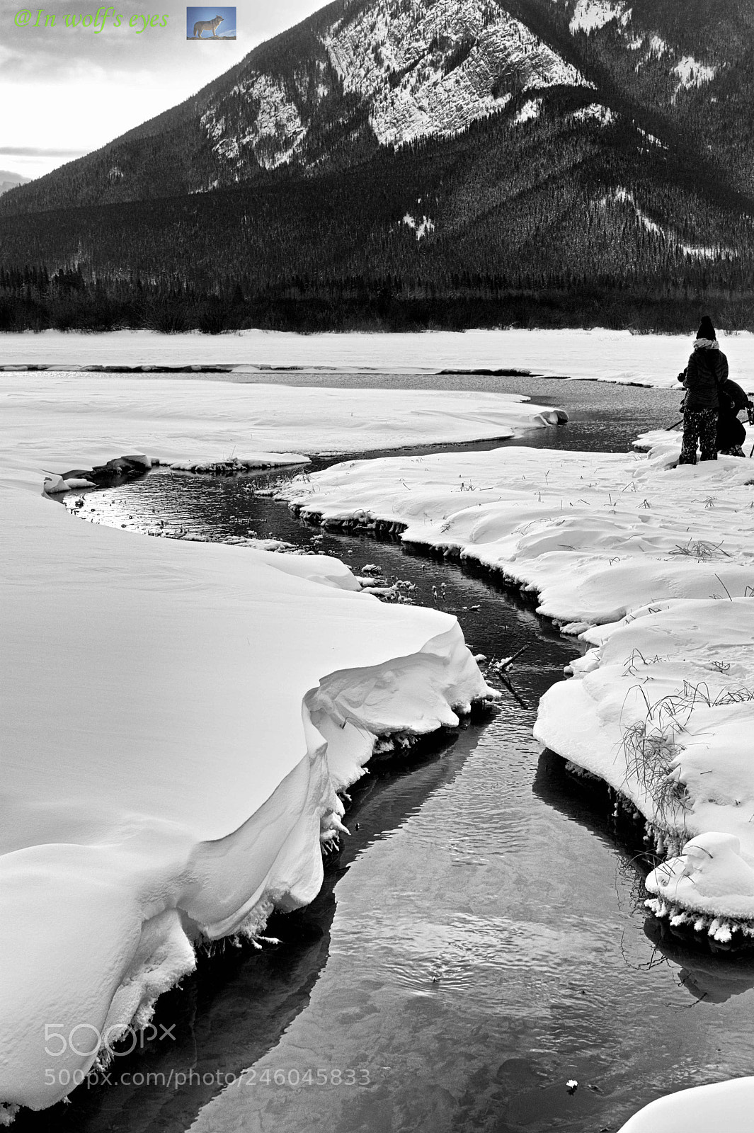Nikon D500 sample photo. To the mountain, canada photography