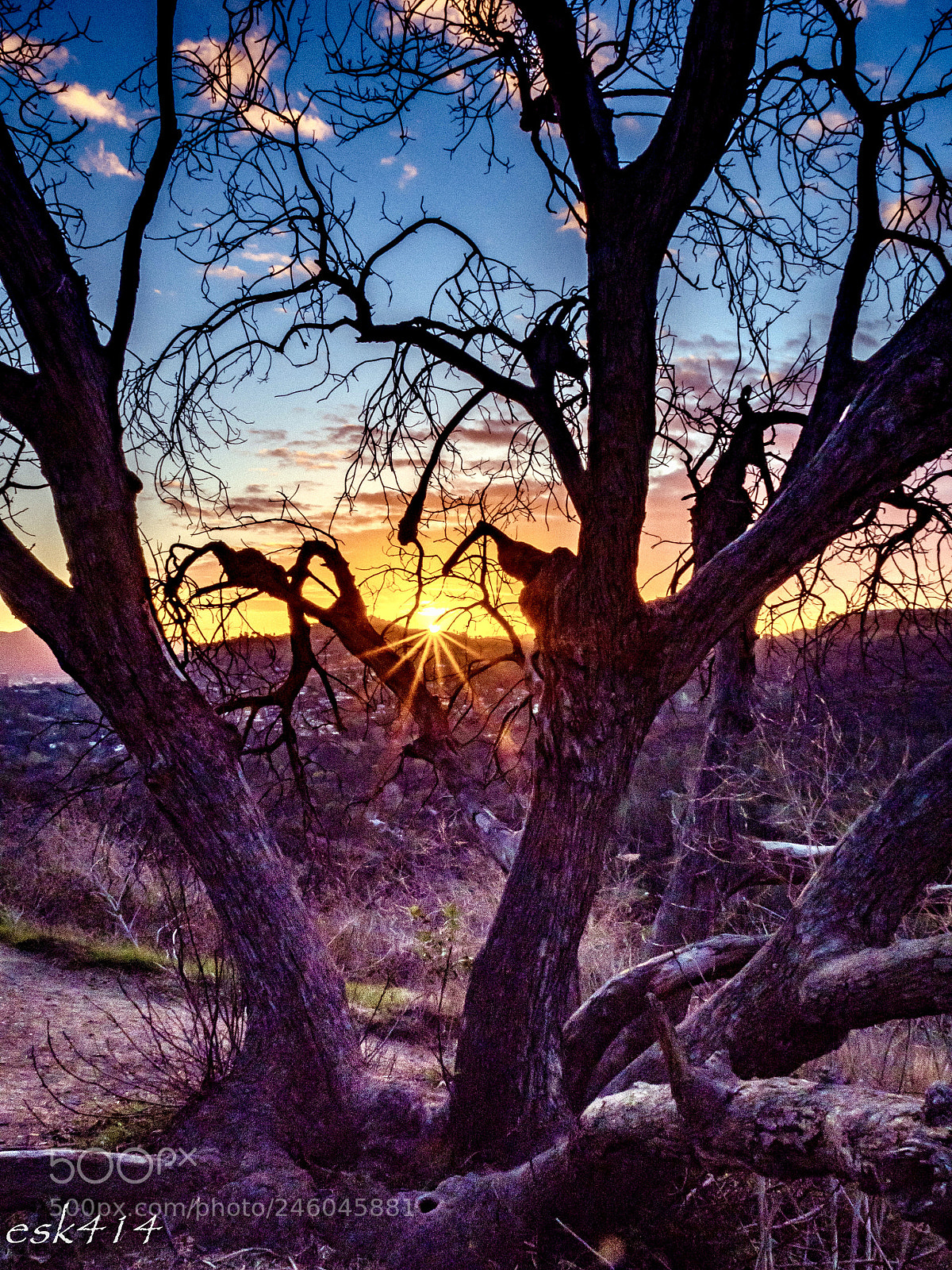 Olympus OM-D E-M5 II sample photo. Wilacre sunrise photography