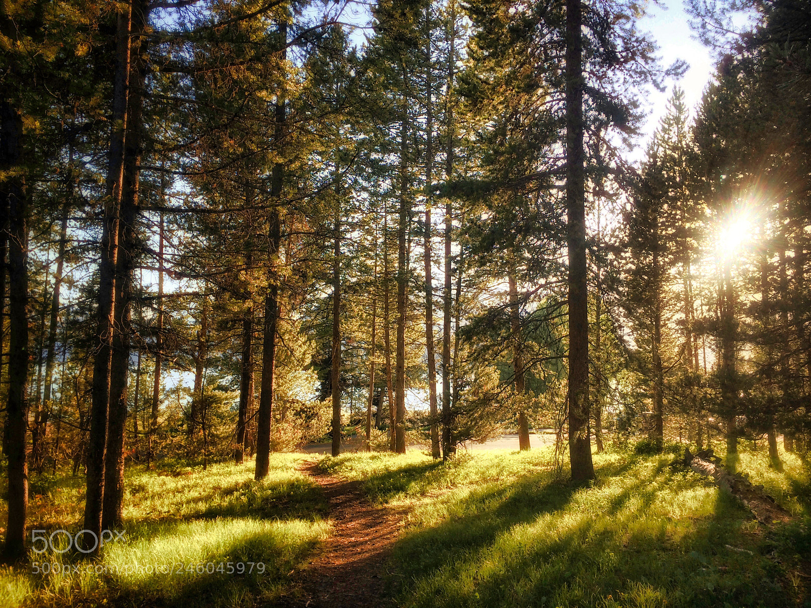 Apple iPhone 5s sample photo. Teton trail photography