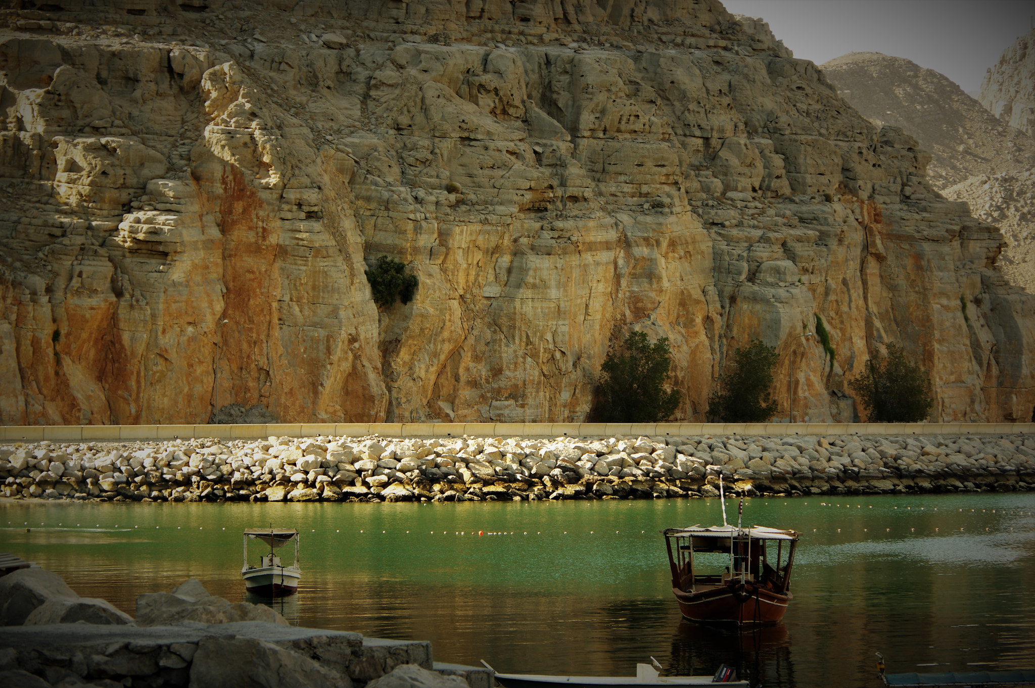 Pentax K-3 II sample photo. Sheeps photography