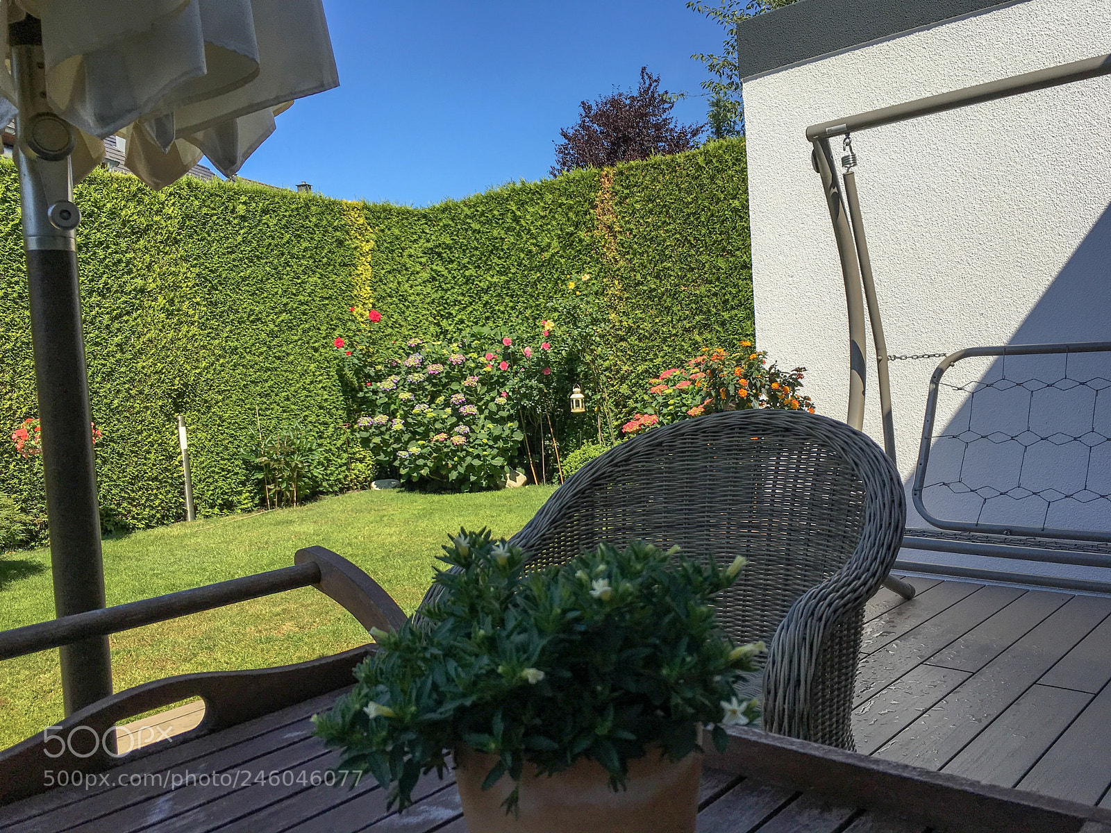 Apple iPad Pro sample photo. Untitled photography