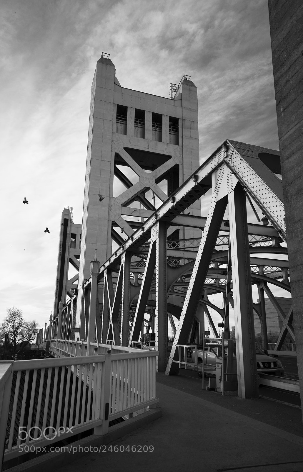 Sony a7 II sample photo. Sony 3660 bridge path photography