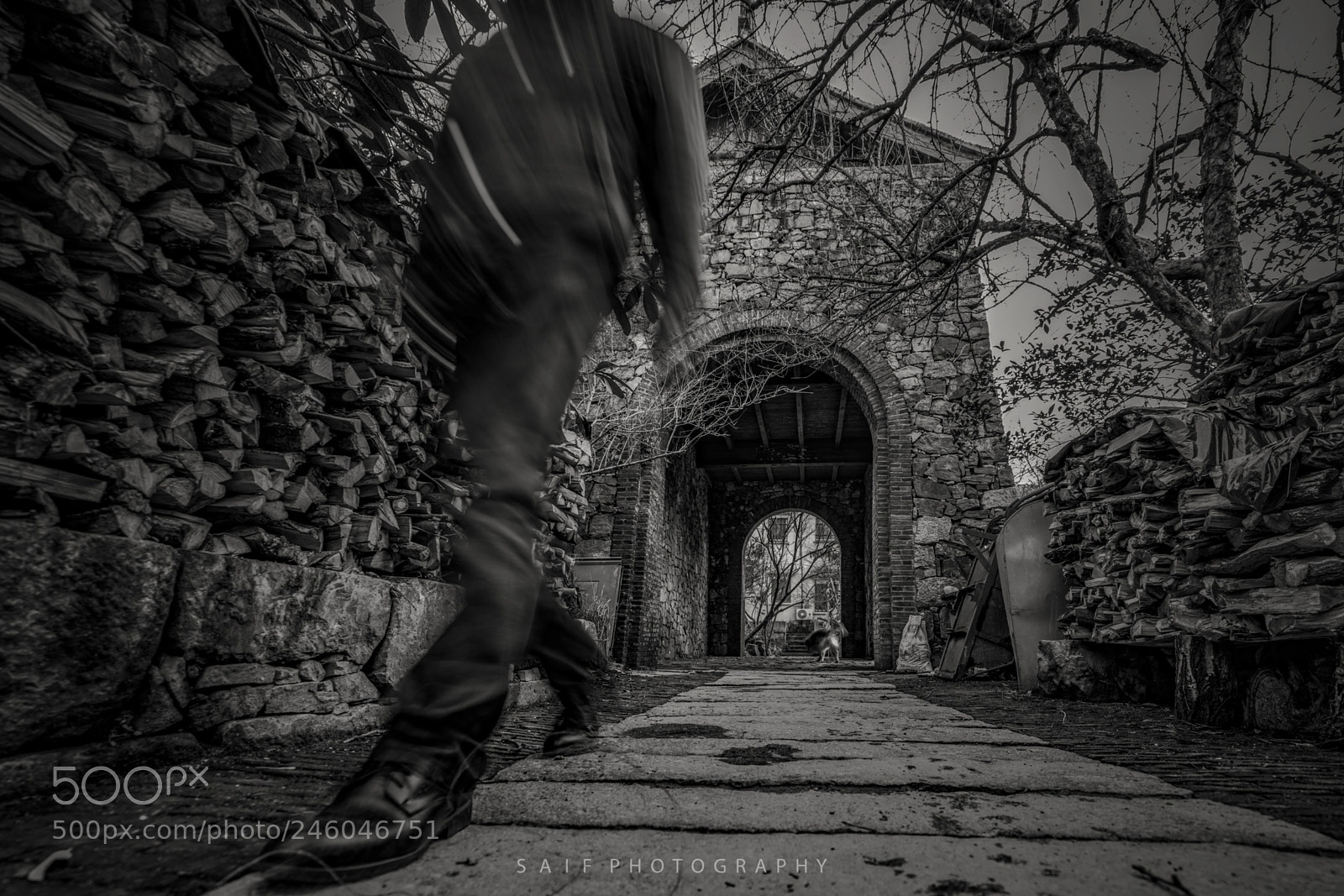 Sony a7R II sample photo. Step photography