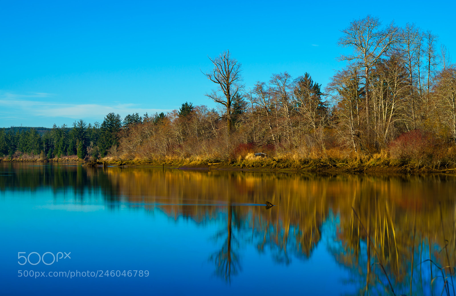 Sony a7R II sample photo. Preachers slough photography