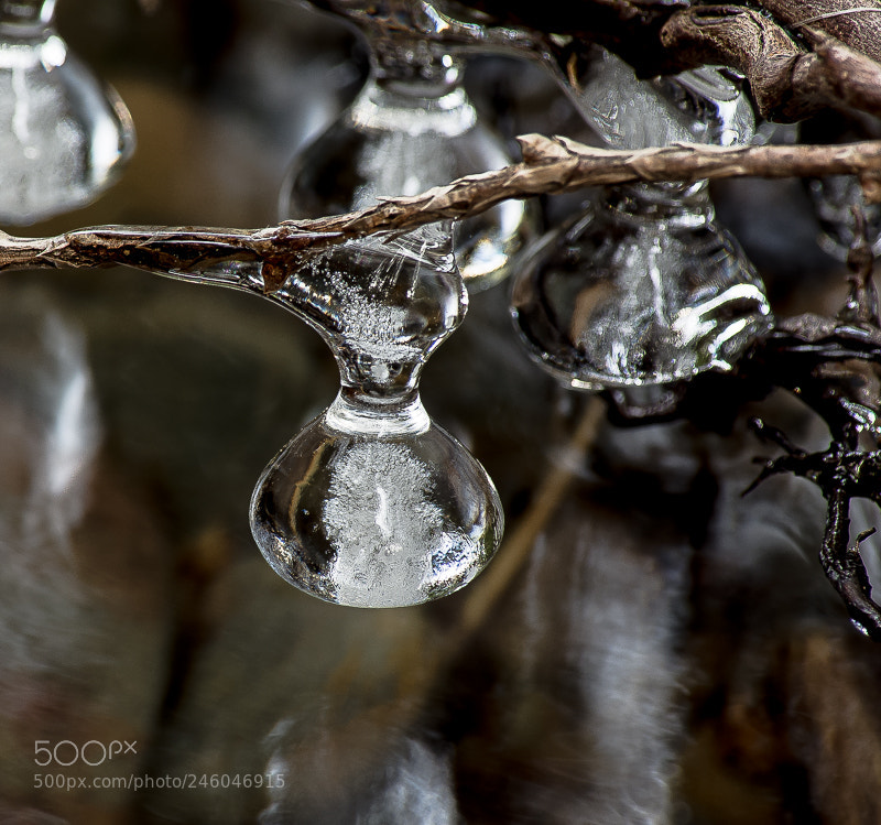 Nikon D7200 sample photo. Ice drop photography