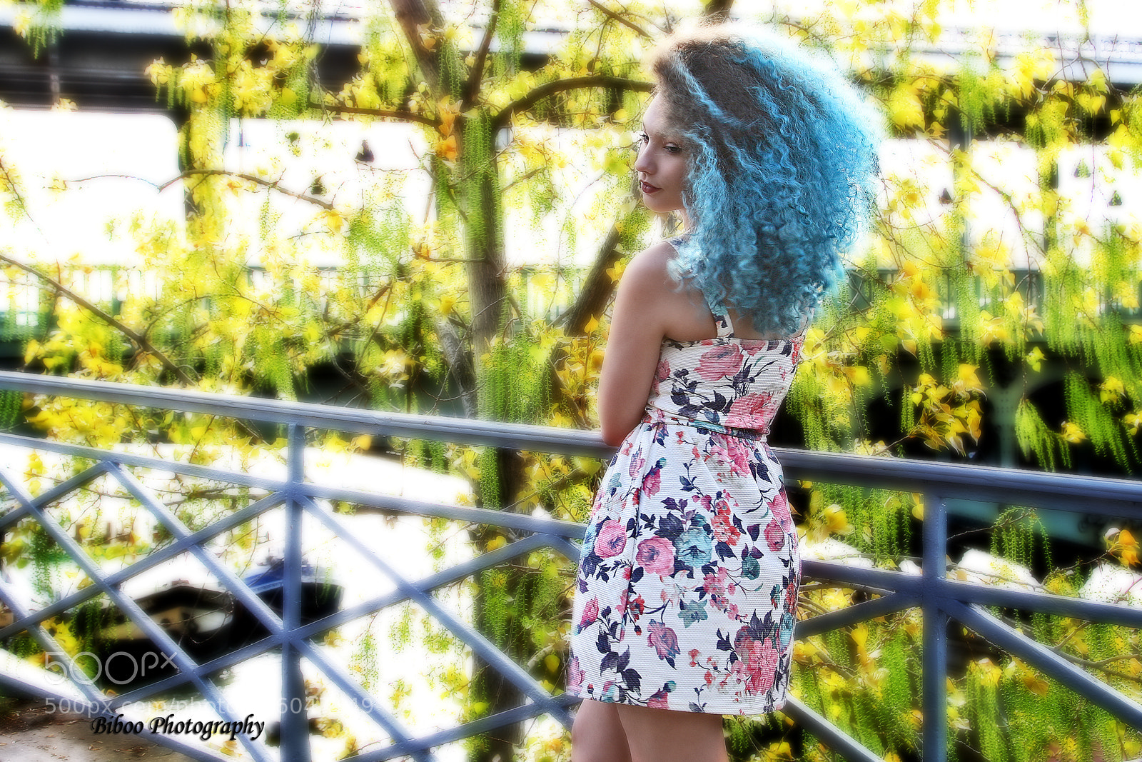 Canon EOS 5D sample photo. Missing the spring flowers photography