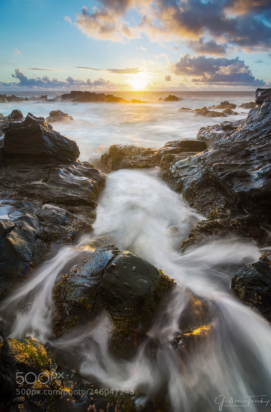 Nikon D7200 sample photo. Spotting in the rocks photography