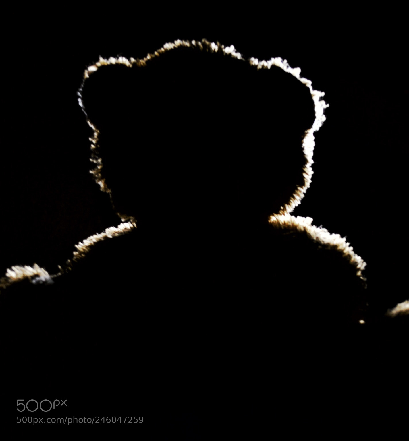 Nikon D3200 sample photo. Teddy in the dark photography