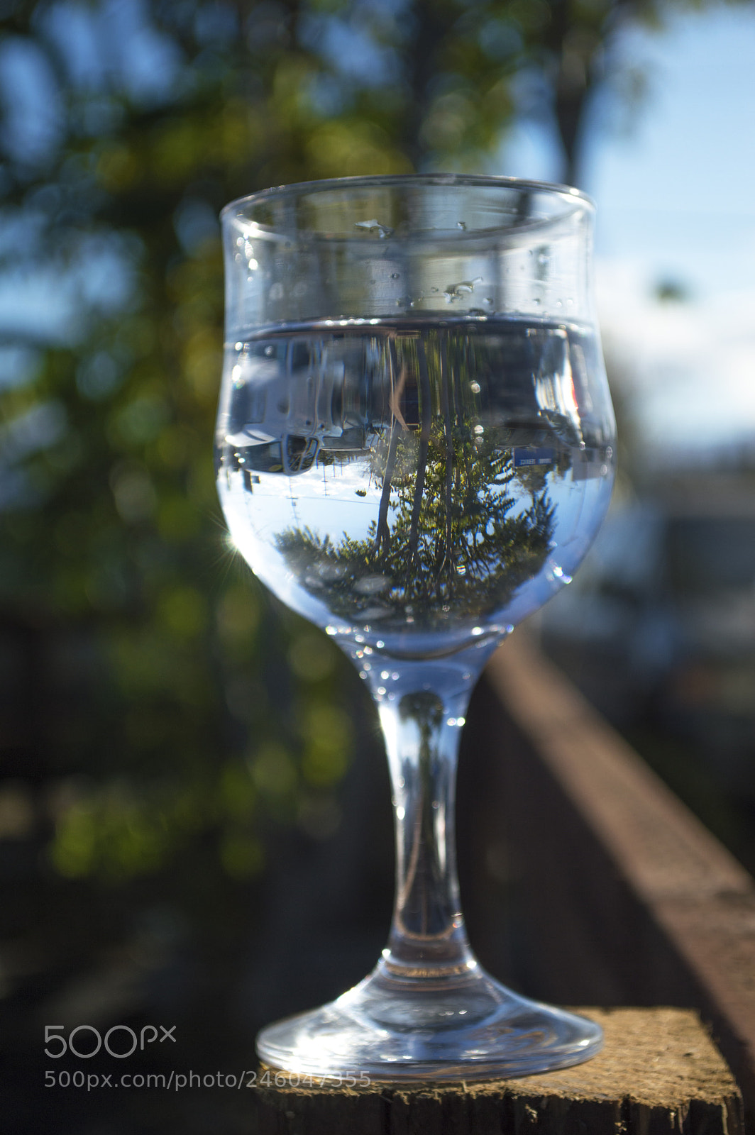 Nikon D3200 sample photo. Untitled photography