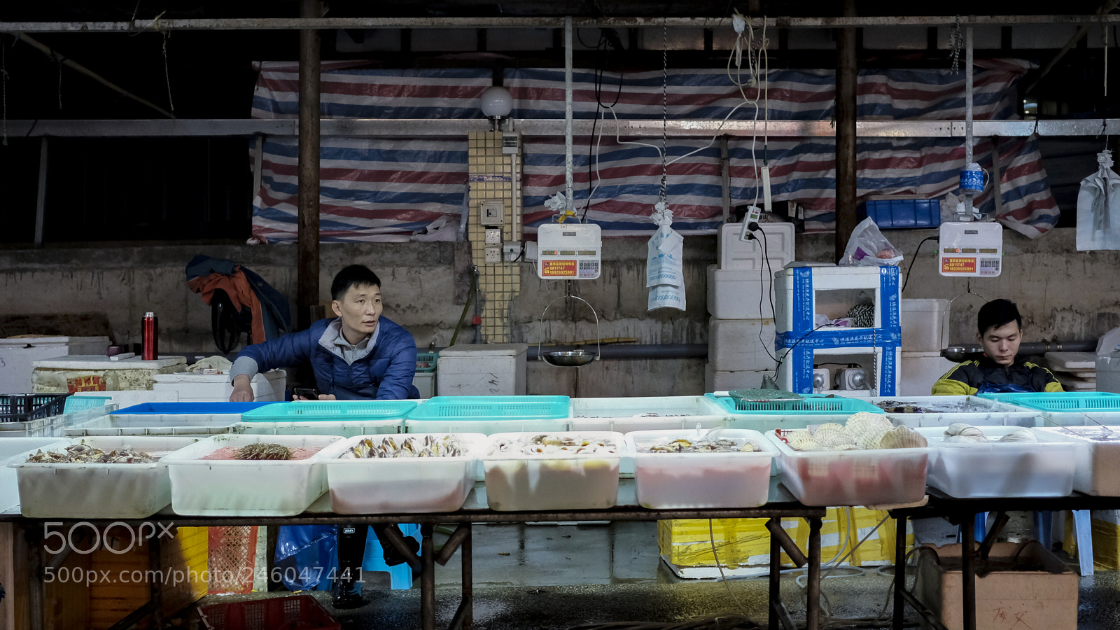 Fujifilm X-T2 sample photo. 海鲜市场 photography